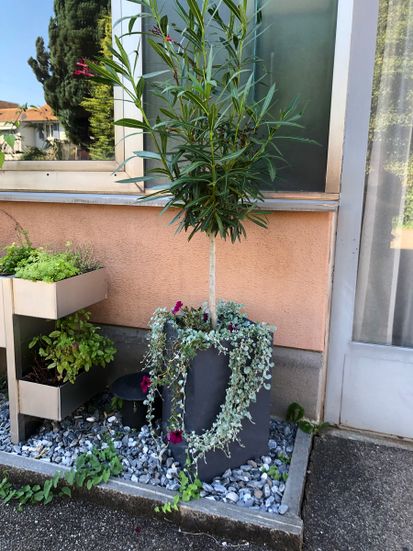 Massgefertigte Blumentöpfe/-tröge nach Ihren Wünschen erhältlich in: